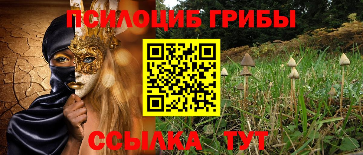Салехард  Псилоцибиновые грибы MAGIC MUSHROOMS  Вход с VPN 